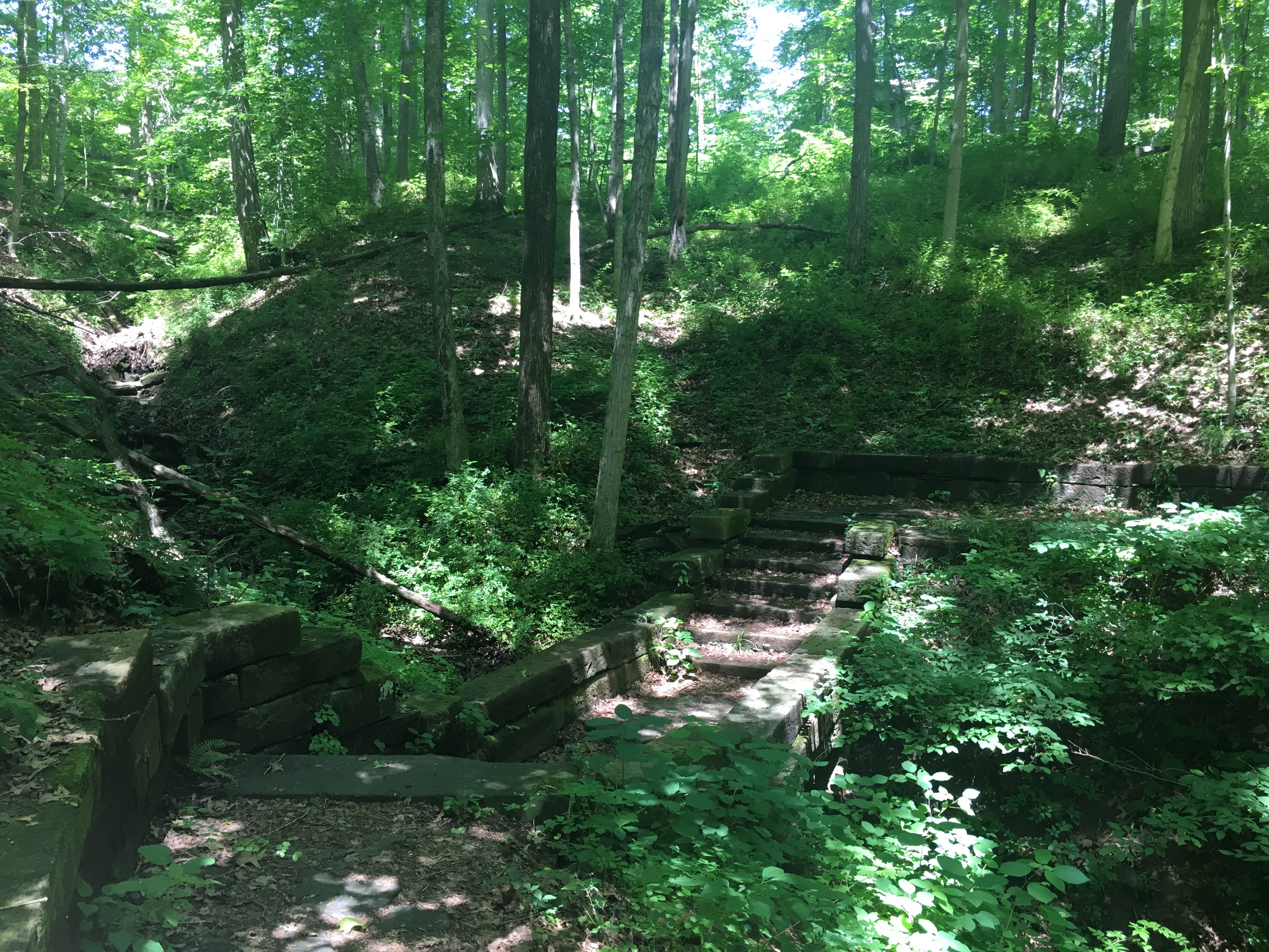 Brown County trails and forest scenery